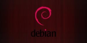 Debian Logo Image